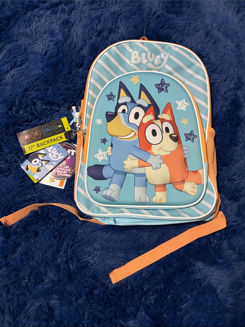 Bluey backpack